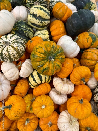 pumpkins for sale at market. Assorted Pumpkins and Gourds Displayed at Market