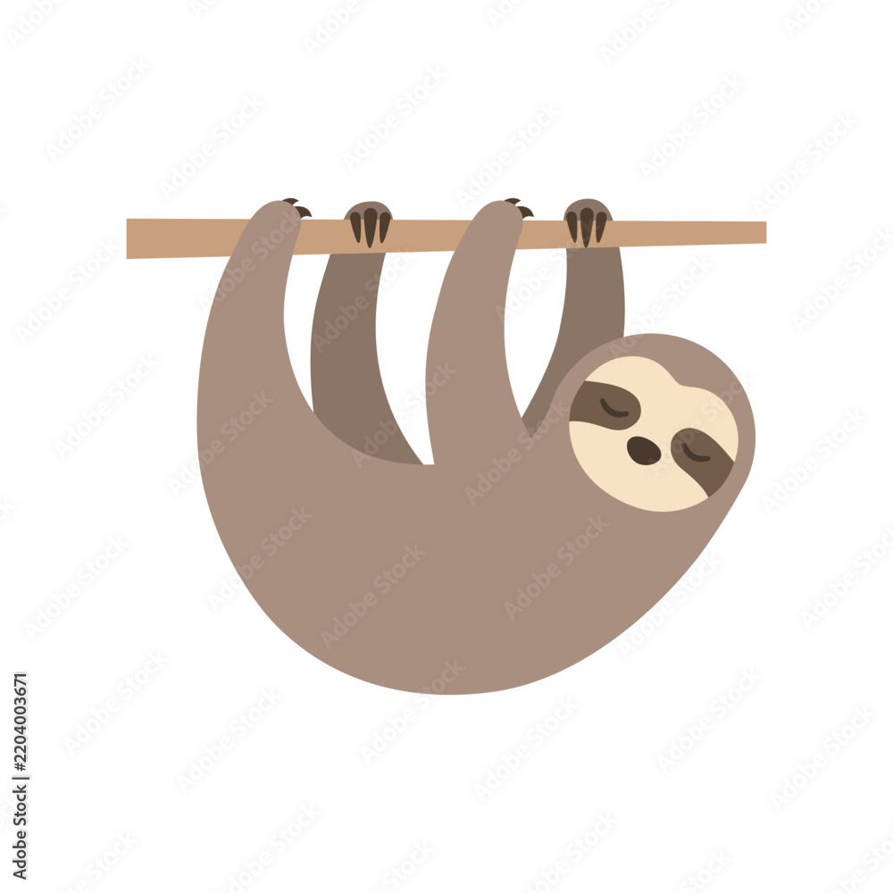 Fototapeta premium Cute sloth hanging on a tree branch isolated on white background. Flat vector illustration of sleeping wild animal character.