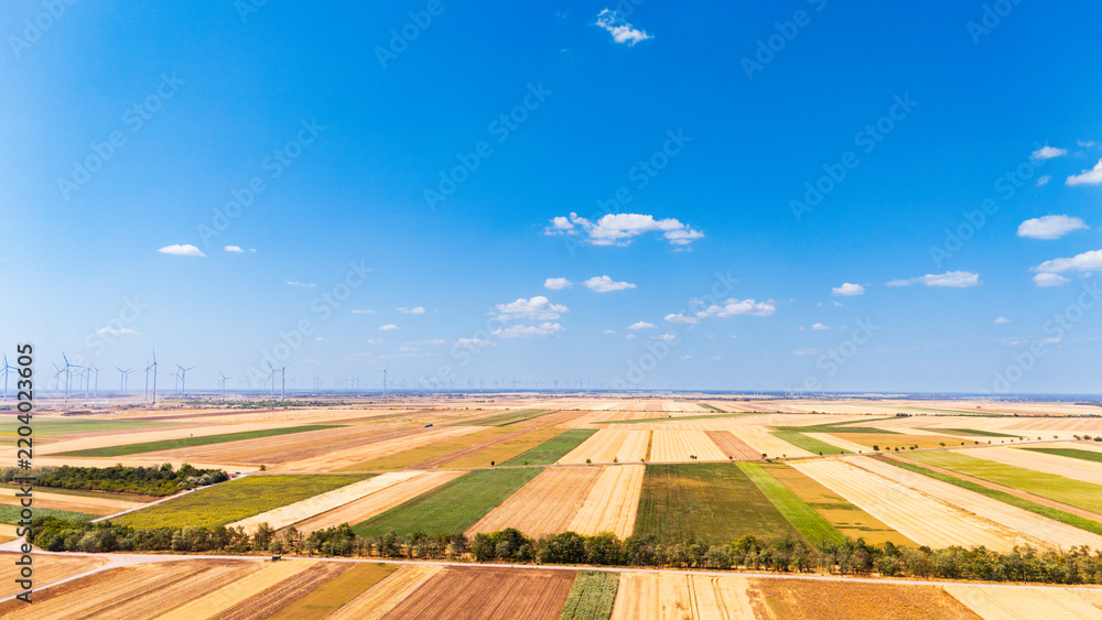 Obraz premium Agricultural field mosaic with a distant wind farm. An elevated view shows tan and green strips divided by trees beneath a blue sky with scattered clouds.