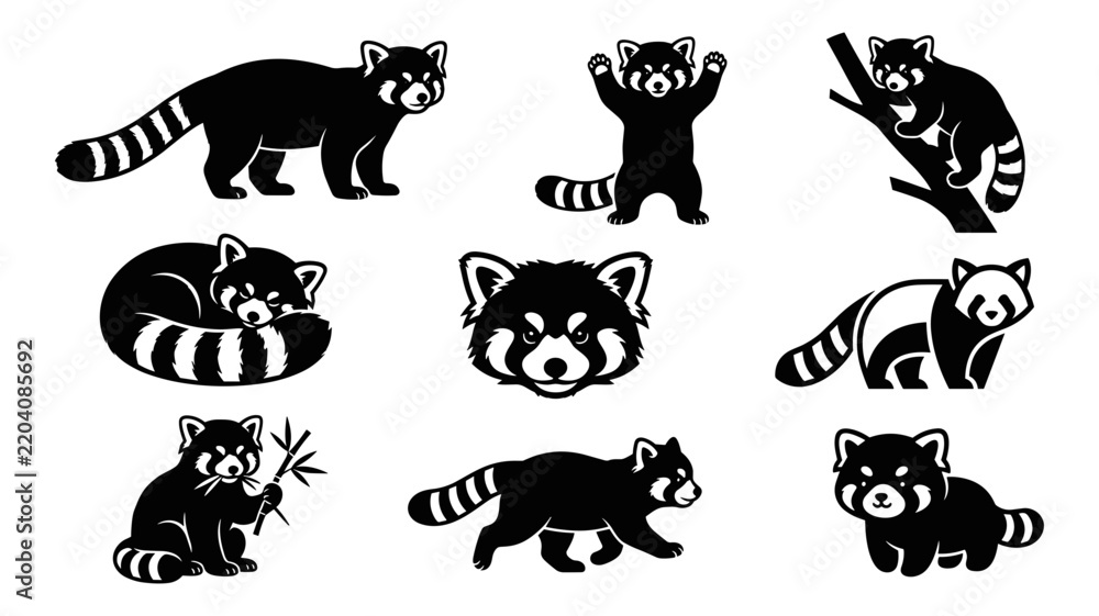 Obraz premium Red Pandas Set with Various Poses and Actions, Including Sleeping, Climbing