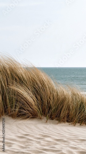 Serene beachscape with swaying grasses and calm waters