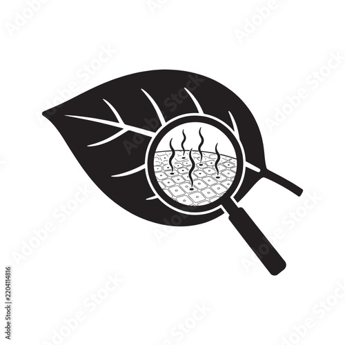 Leaf with magnified stomata illustration black and white botanical drawing