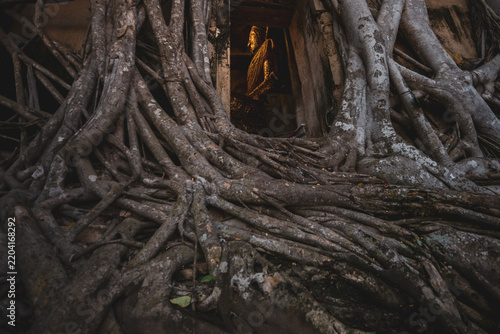 Foto Ancient golden Buddha statue nestled within the massive roots of a sprawling ban
