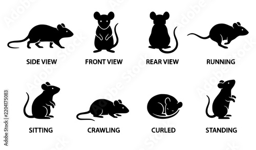 Black Mouse Silhouette Symbol Set, Rodent Poses and Animal Icons, Vector Illustration