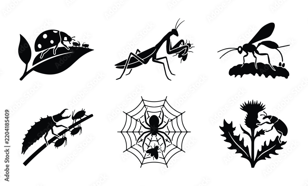 Fototapeta premium Insect Vector Icons Set: Ladybug, Praying Mantis, Wasp, Larva, Spider, Beetle Graphics