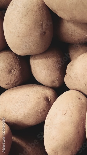 close up of a pile of fresh ripe potatoes