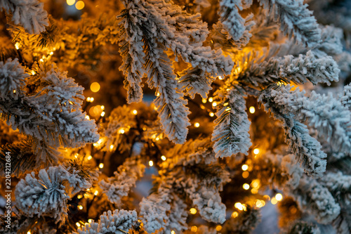 Snow covered Christmas tree branches decorated with warm glowing holiday lights creating festive mood