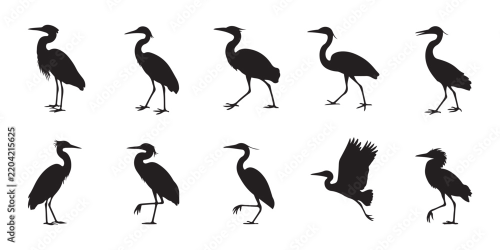 Obraz premium Black heron silhouette collection showing various standing and flying postures for environmental and conservation projects.