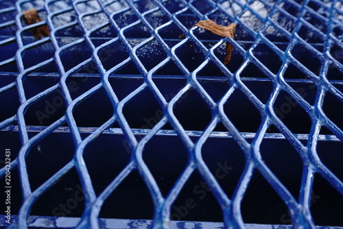 Close-up of a blue metal diamond-patterned grate with a dark background and two dry brown leaves