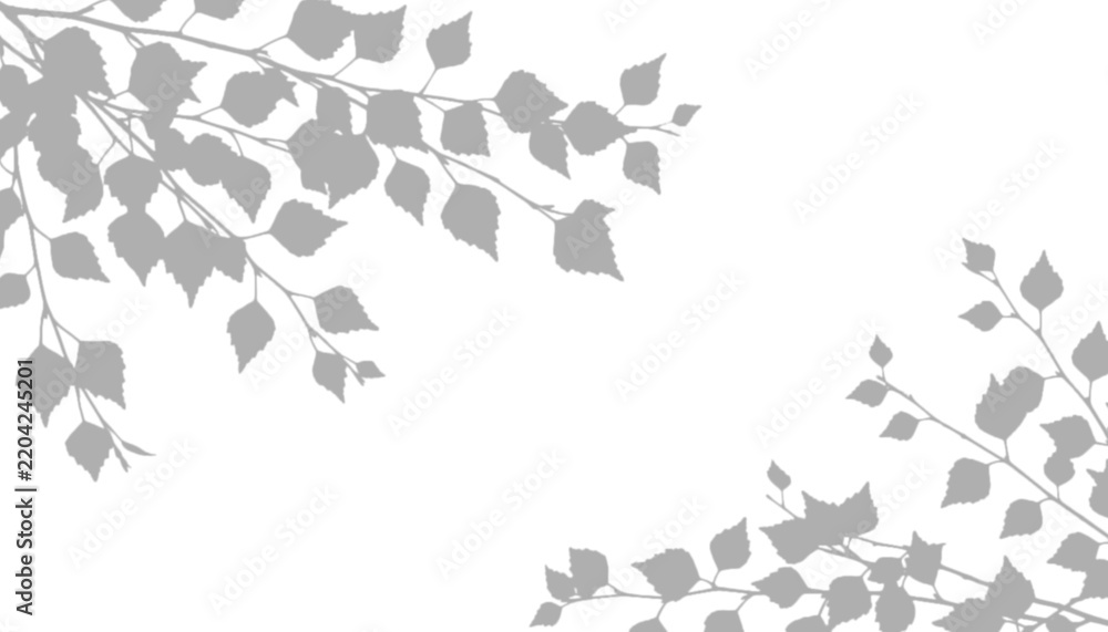 Fototapeta premium Minimalist branch shadows isolated on transparent background