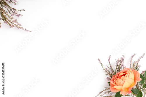 Autumn floral background with peach coral rose and pink heather on white with copy space