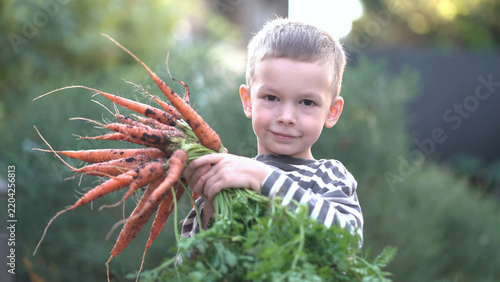 Foto Happy child proudly showing organic home-grown carrots from the vegetable garden, capturing pure joy of harvest and healthy living
