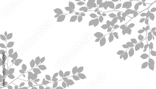 Abstract grey leaf branch shadows isolated on transparent background