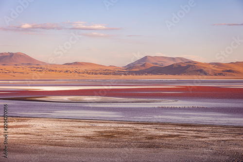 Red Lagoon and Mountains in Altiplano Landscape
