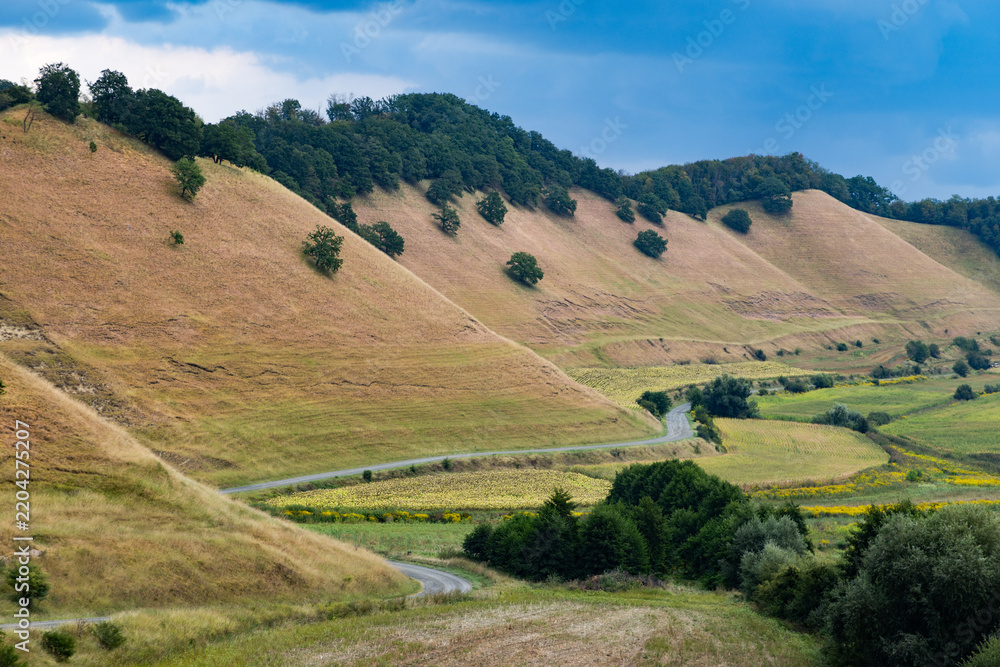 Obraz premium valley with rolling hills in summer