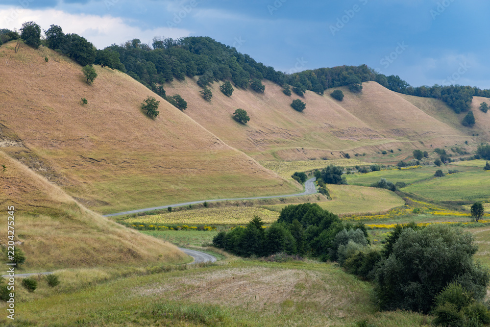 Obraz premium valley with rolling hills in summer