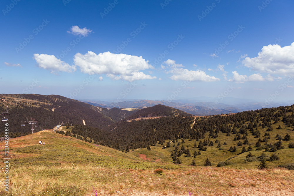 Fototapeta premium Mountain valley with evergreen forest and distant hills