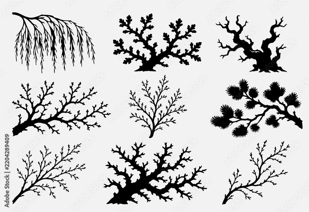 Obraz premium Botanical branch and twig collection nature tree silhouette vector illustration bundle