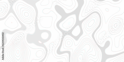 Abstract grid landscape topography white background. Topography Height Contour Map Artwork with Flowing Terrain Lines Transparent Outdoor Landscape Pattern for Vintage. Topo contour paper map design.