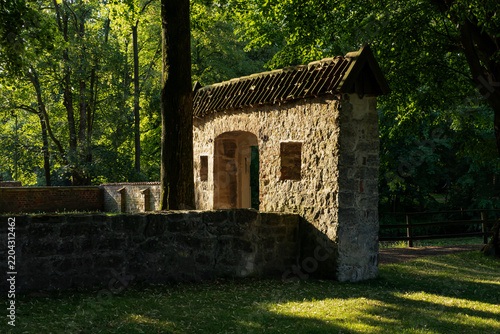 Obraz na plátně Stone archway passage in a sunlit forest setting