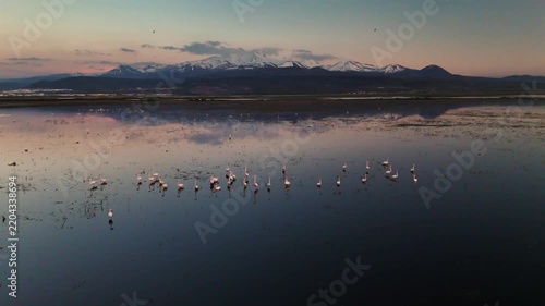 Aerial View of Flamingo Flock on Lake with Snow Capped Mountains at Twilight