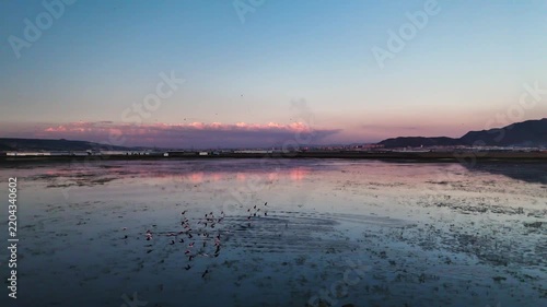 Aerial View of Flamingo Flock on Lake with Snow Capped Mountains at Twilight