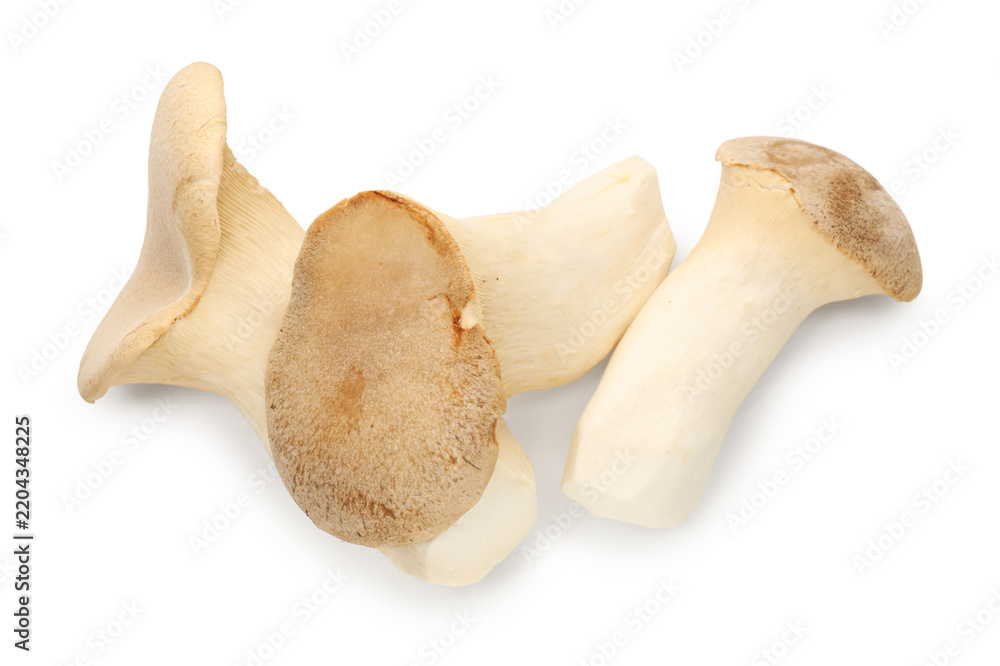 Fototapeta premium Three king oyster mushrooms isolated on white, top view
