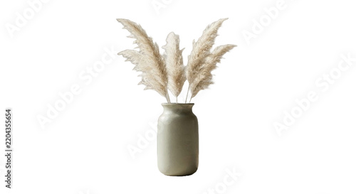 Minimalist bouquet of fluffy dried pampas grass in a matte beige ceramic vase, isolated on a pure white background. Elegant interior decor object, boho style floral arrangement, studio shot.