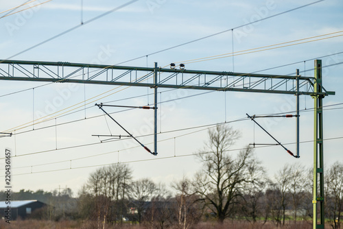 Wide view of railway overhead power lines and support structures silhouetted against sky.
