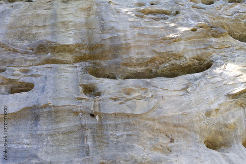 Weathered sandstone rock face reveals intricate erosion patterns. 