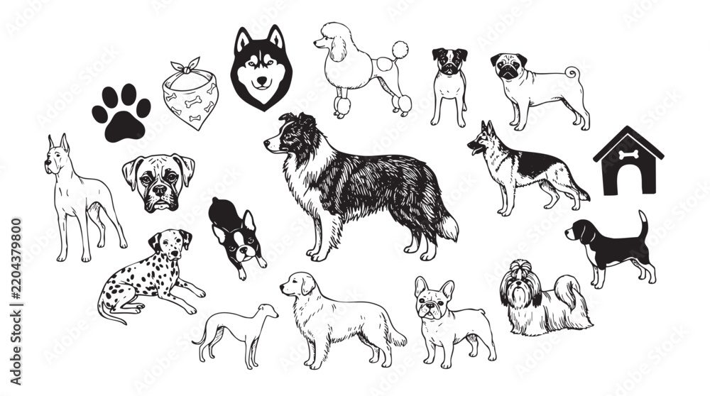 Fototapeta premium Black and white hand drawn dog breeds and pet accessories collection for animal enthusiasts.