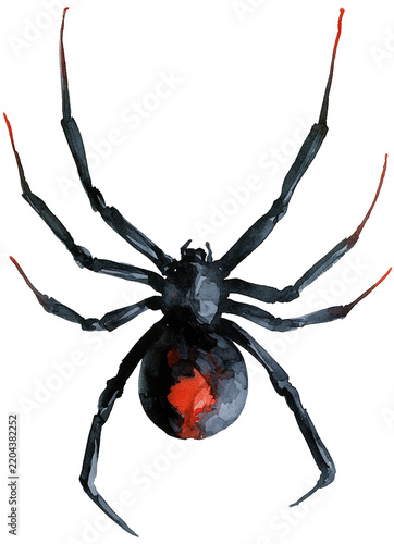 Water color illustration of Spider for Halloween on transparent background