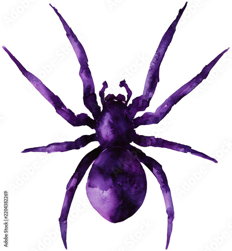 Water color illustration of Spider for Halloween on transparent background