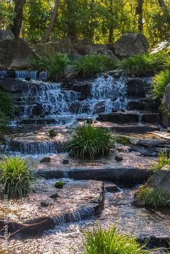 Scenic cascading stream flowing over layered stone terraces among rocks, ornamental grass and trees, illuminated by warm sunlight in a peaceful landscaped garden.