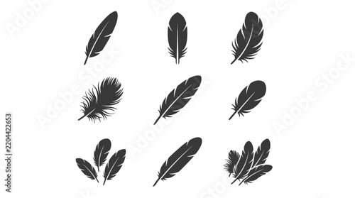 Various bird feather silhouettes for graphic design.