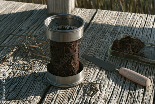Sediment core marsh soil stainless steel corer geological knife wooden bench sediment sample dark loam root system wet soil field research sediment core sample beside geological knife and glass