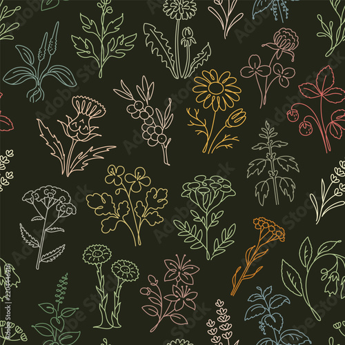 Herbal Plants Seamless Pattern, Botanical Outline Design on Dark Background