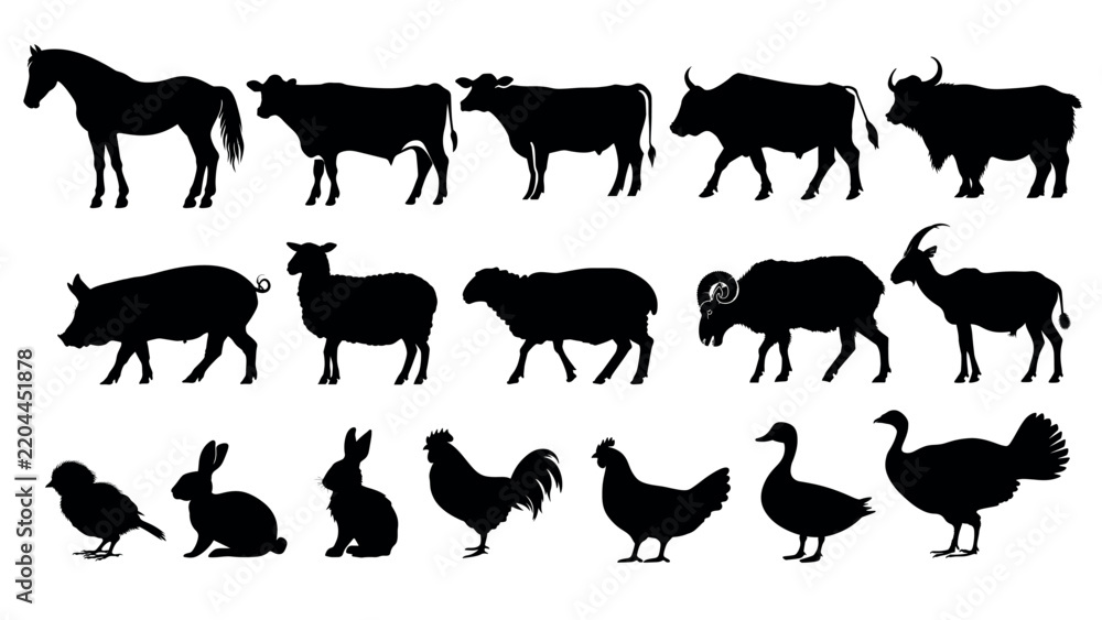 Fototapeta premium Silhouettes of various farm animals vector set