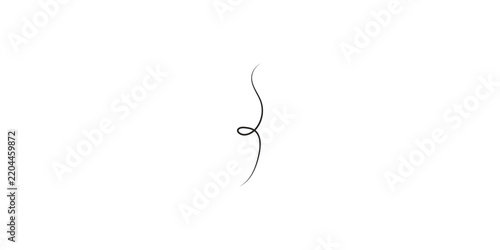 Single strand of dark hair isolated on a white background.