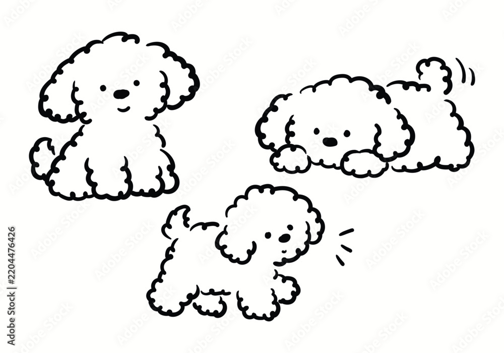 Obraz premium Cute doodle set of a fluffy white poodle puppy sitting, lying down, and walking.