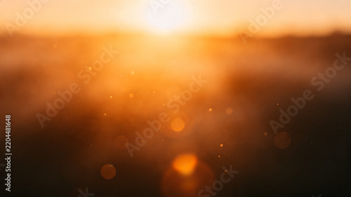 sunset in the forest