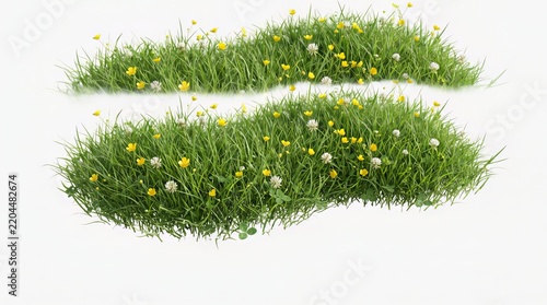 Grass borders with lush green blades, yellow wildflowers, and white clovers sit on a clean white backdrop.