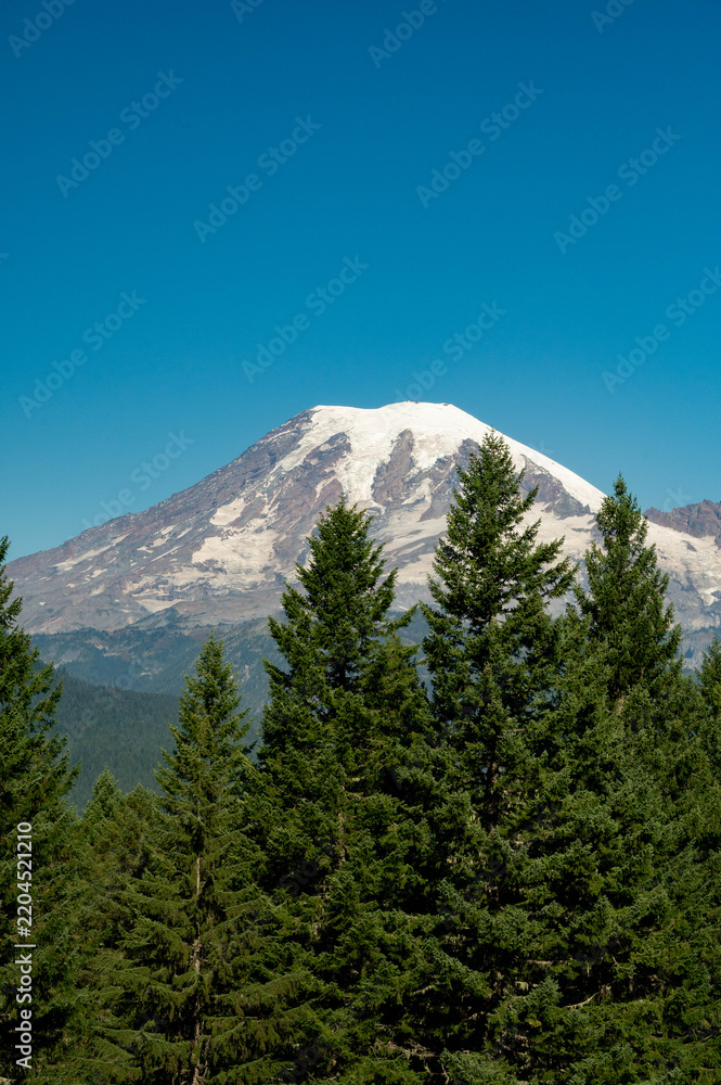 Fototapeta premium Mount Rainier on a sunny fall day