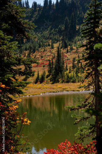 Mount Rainier Mountain and Lake View in Autumn