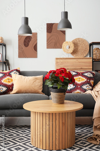 Interior of living room with Christmas plant poinsettia on table and sofa