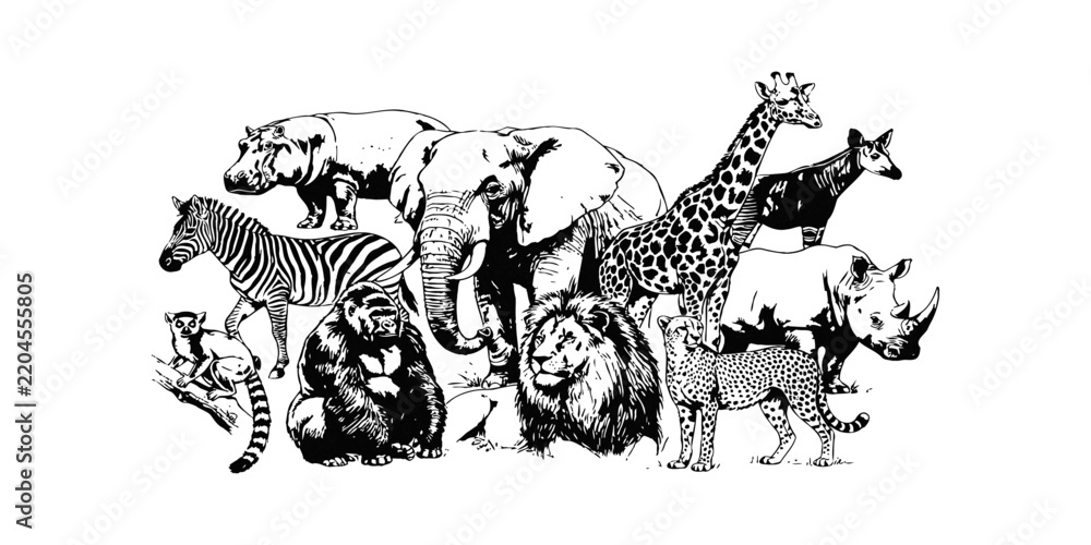 Fototapeta premium Black and white illustration of a diverse group of wild african safari animals standing together