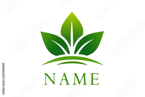 Luxury green leaf icon