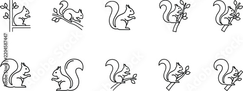 Squirrel icon set, minimalist black outline illustrations for nature