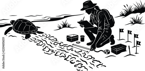 Sea turtle research silhouette vector illustration of biologist measuring track on beach with flags