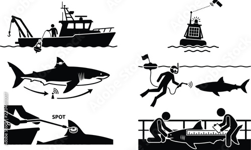 Shark tagging silhouette vector set, marine biology research and tracking
